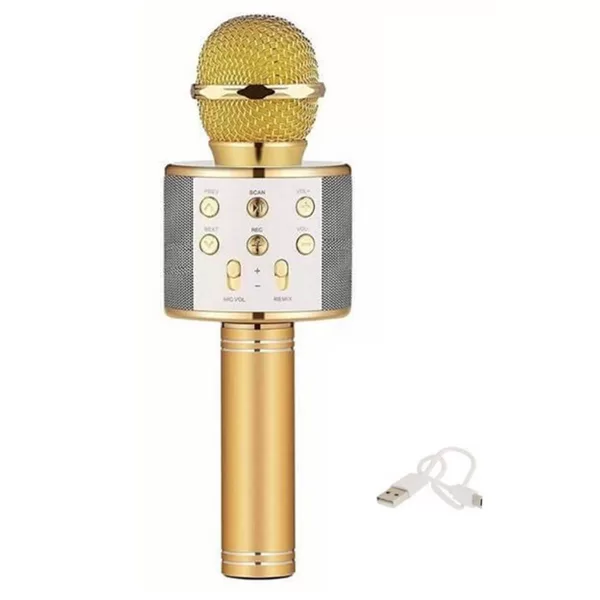 Αυτόνομο Ασύρματο Μικρόφωνο Karaoke με Ηχείο και Λειτουργία Εγγραφής Φωνής WS-858 Χρυσό